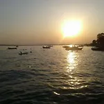 Nikica * סלצה